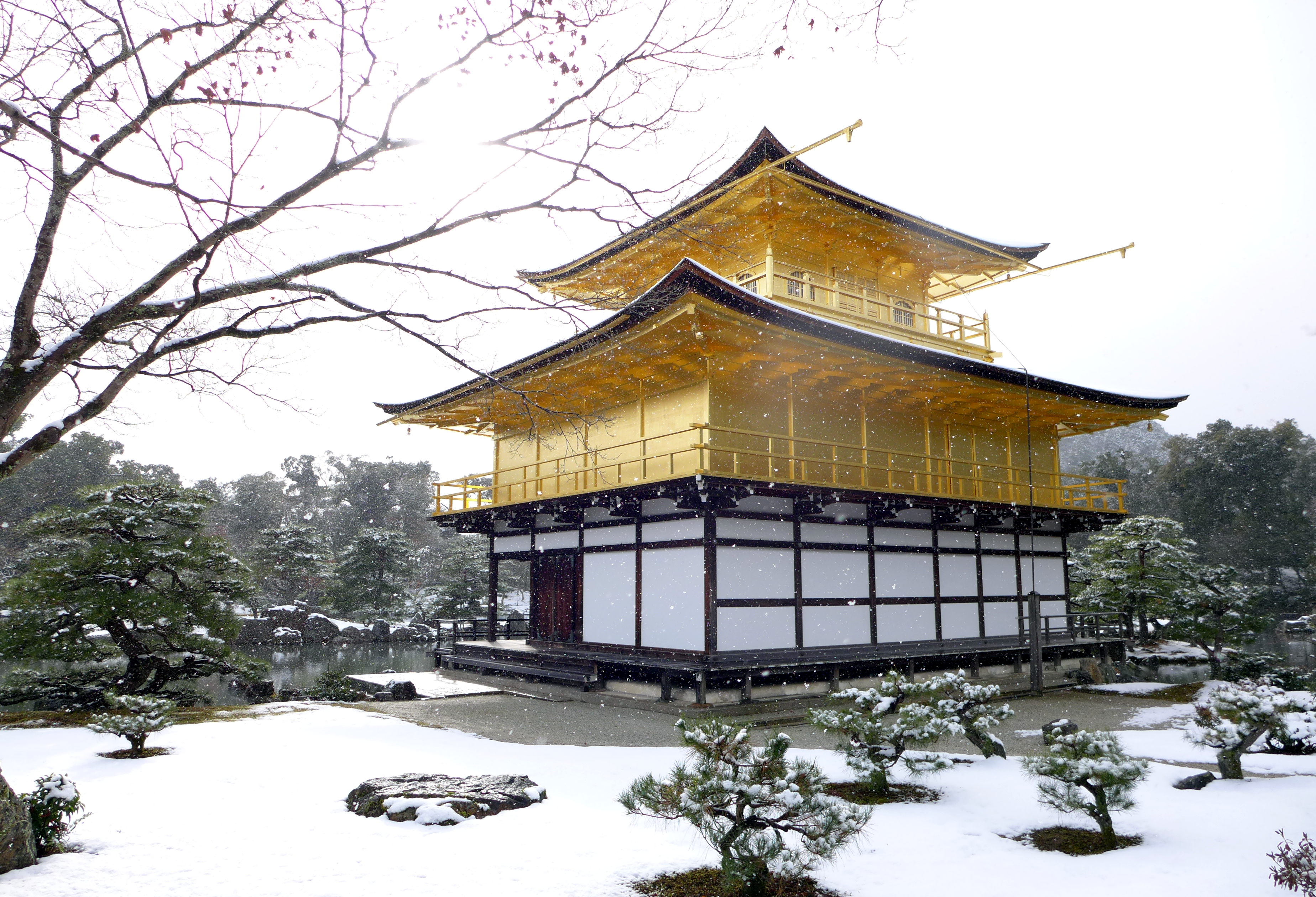 金閣寺 A Golden Flame – japangie