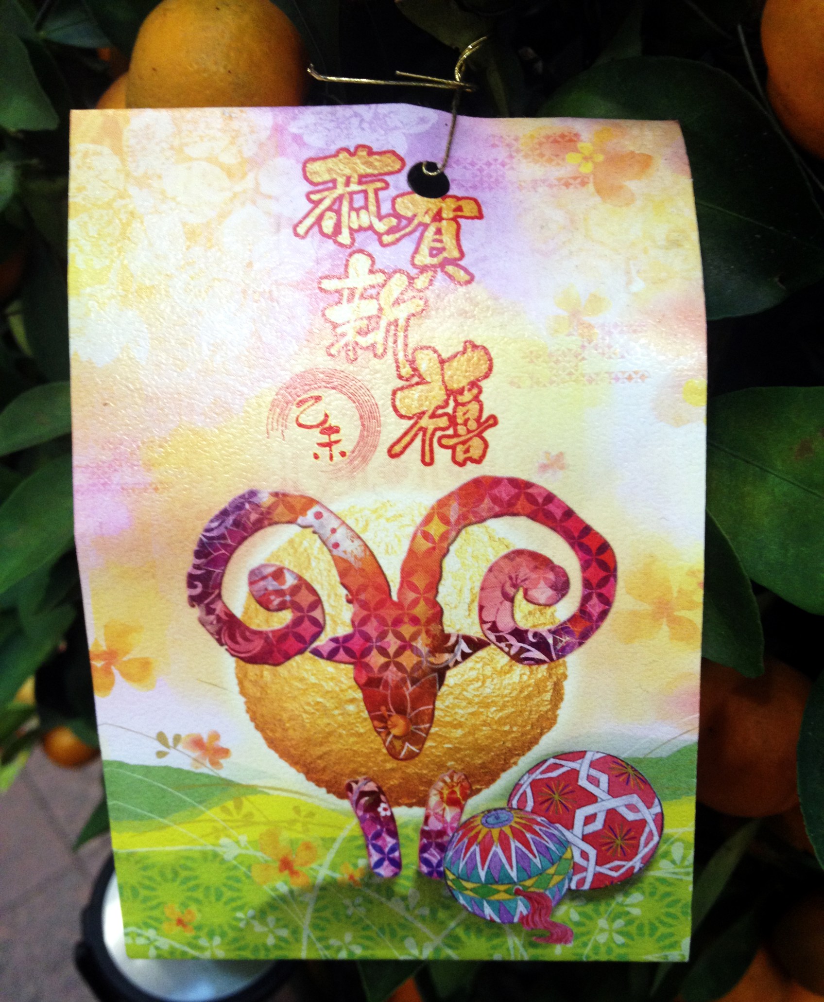 Photo 21-02-2015 6 34 36 pm